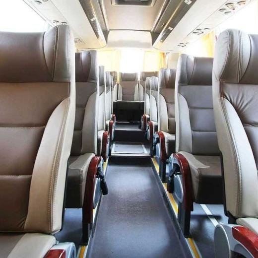 Bus Executive Class HARLEY QUINN