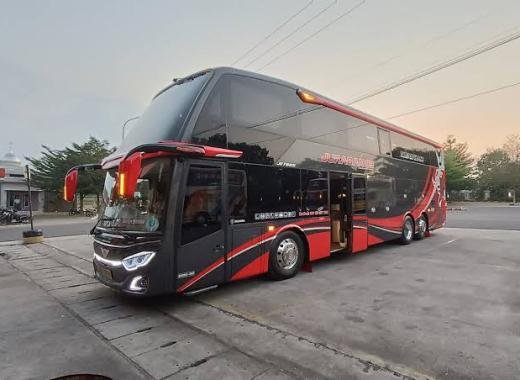 Bus Executive Class HARLEY QUINN