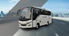 Medium Bus