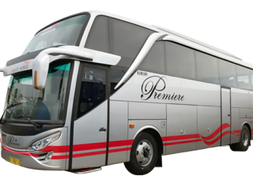 Big Bus Business WH Toilet