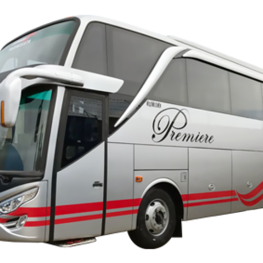 Big Bus Business WH Toilet
